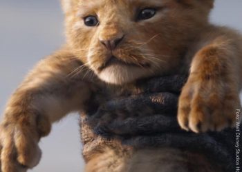 Stream zum 09.10. → Che – Revolución