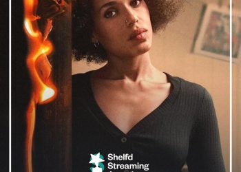 ③ Little Fires Everywhere (Staffel 1)