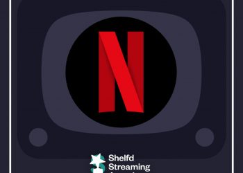 Bestes Rundum-Abo: Netflix 🏆