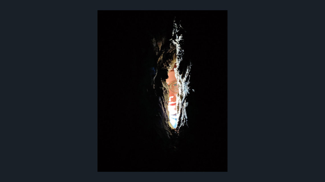 Alle Bedenken zum Shelfd Abo – und meine Antworten