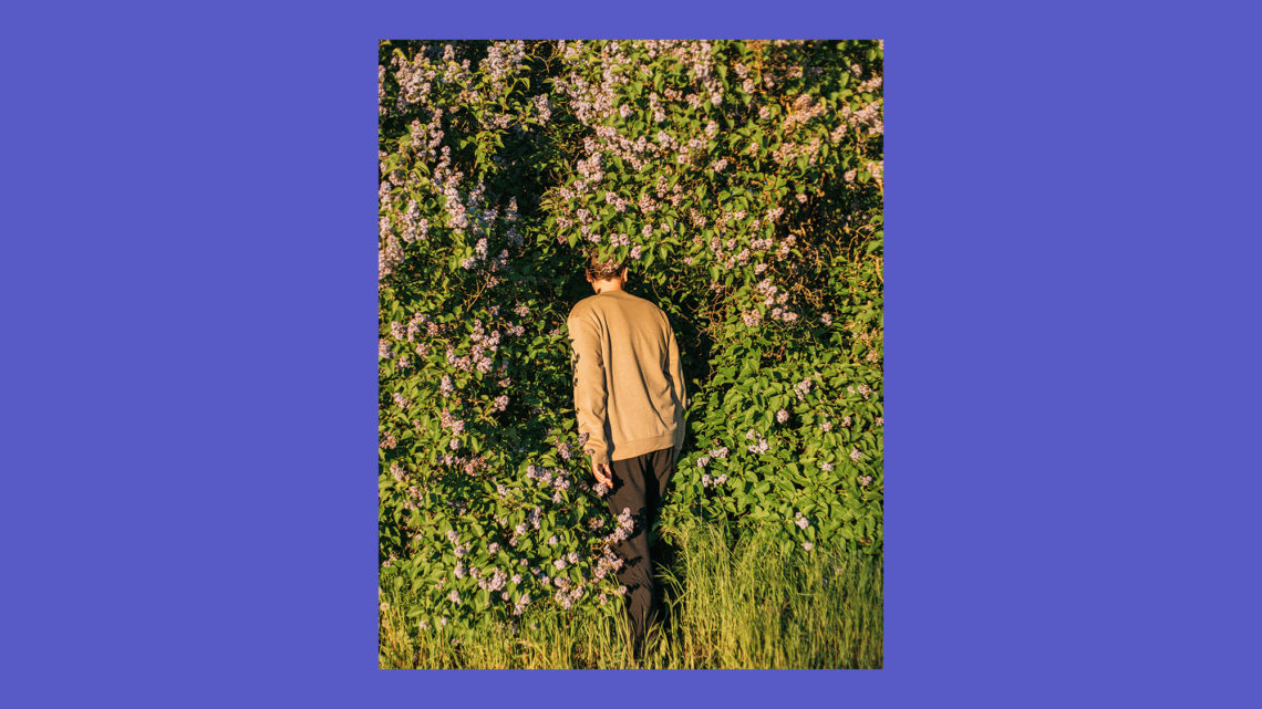 Was es bedeutet Abonnent*in von Shelfd+ zu sein