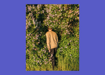 Was es bedeutet Abonnent*in von Shelfd+ zu sein