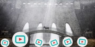 Filmfriends Film des Monats „EO" läuft ab 05.11.. (Foto: Rapid Eye Movies)