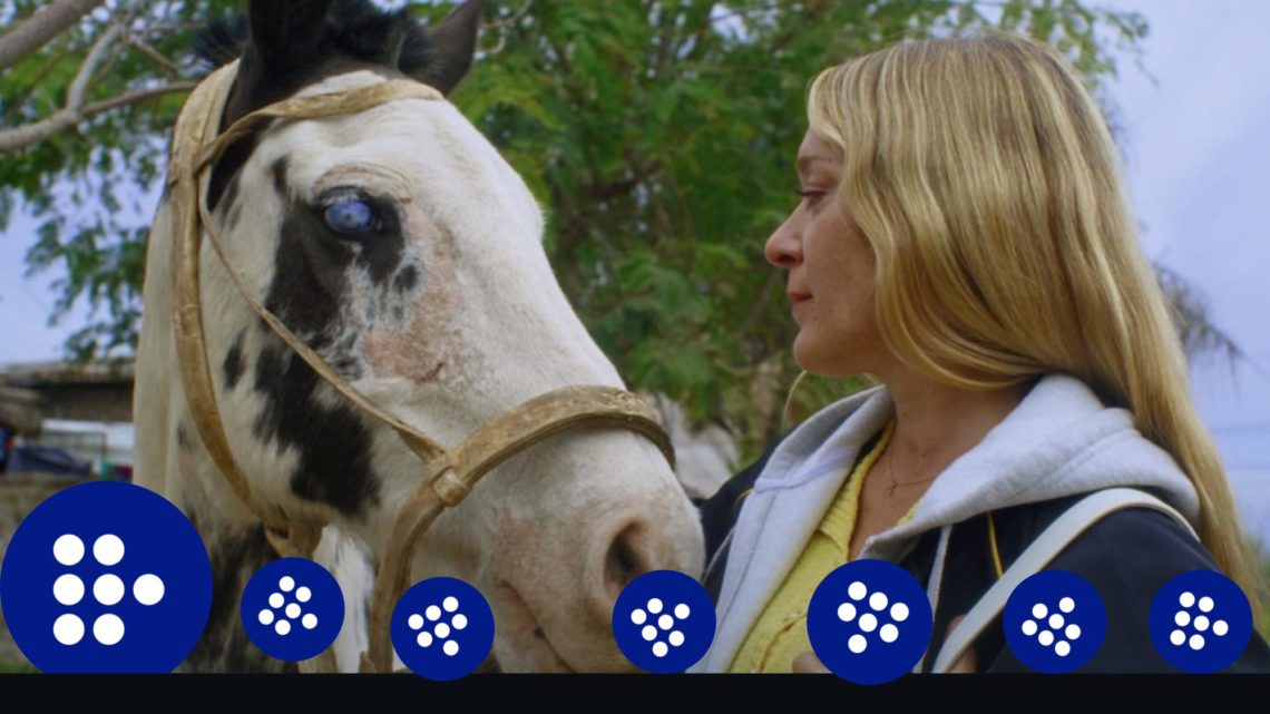 Amalia Ulmanns diesjähriger Berlinale-Hit „Magic Farm“ mit Chloë Sevigny ist ab 14.11. bei Mubi zu sehen. (Foto: Mubi)